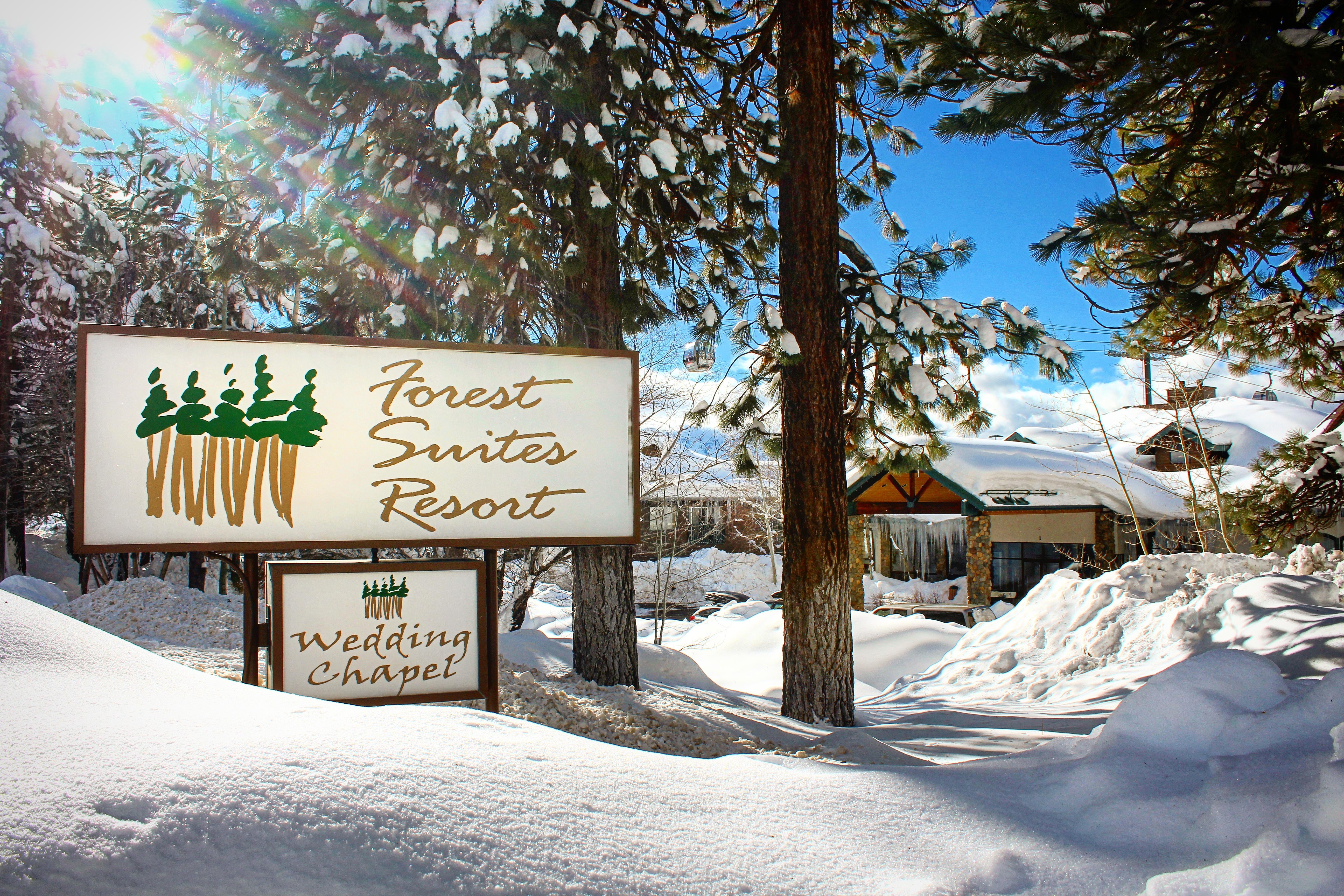 Forest Suites Resort At The Heavenly Village Саус Лэйк Тахо Экстерьер фото